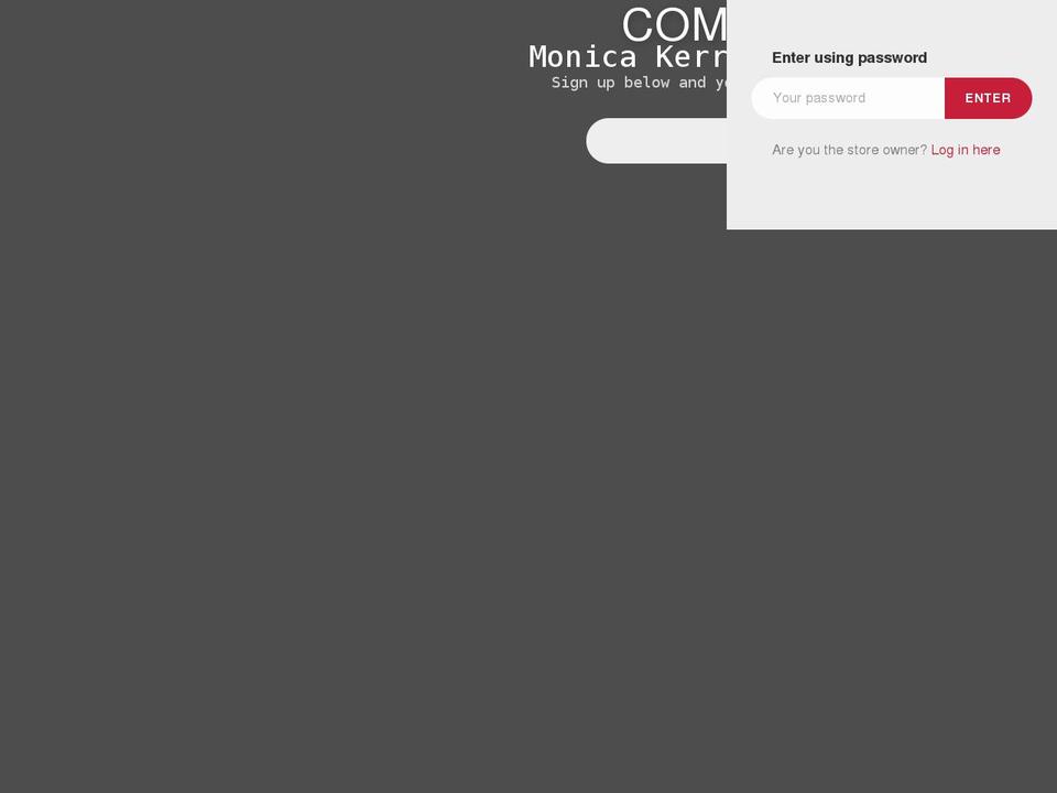 noodlegallery.com shopify website screenshot