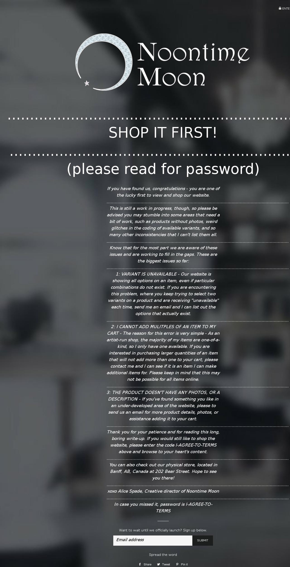 noontimemoon.com — Shopify storefront screenshot