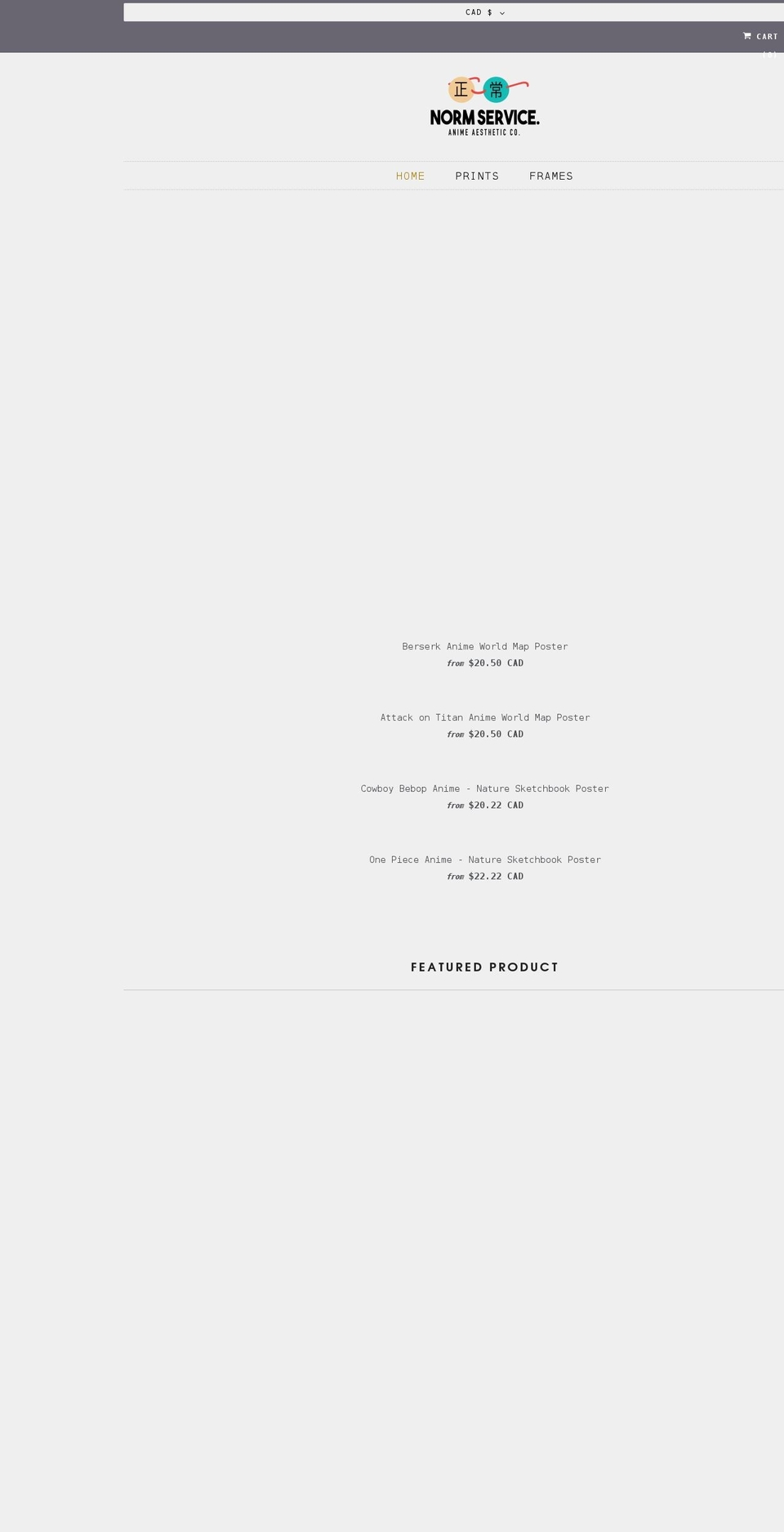 normservice.com shopify website screenshot