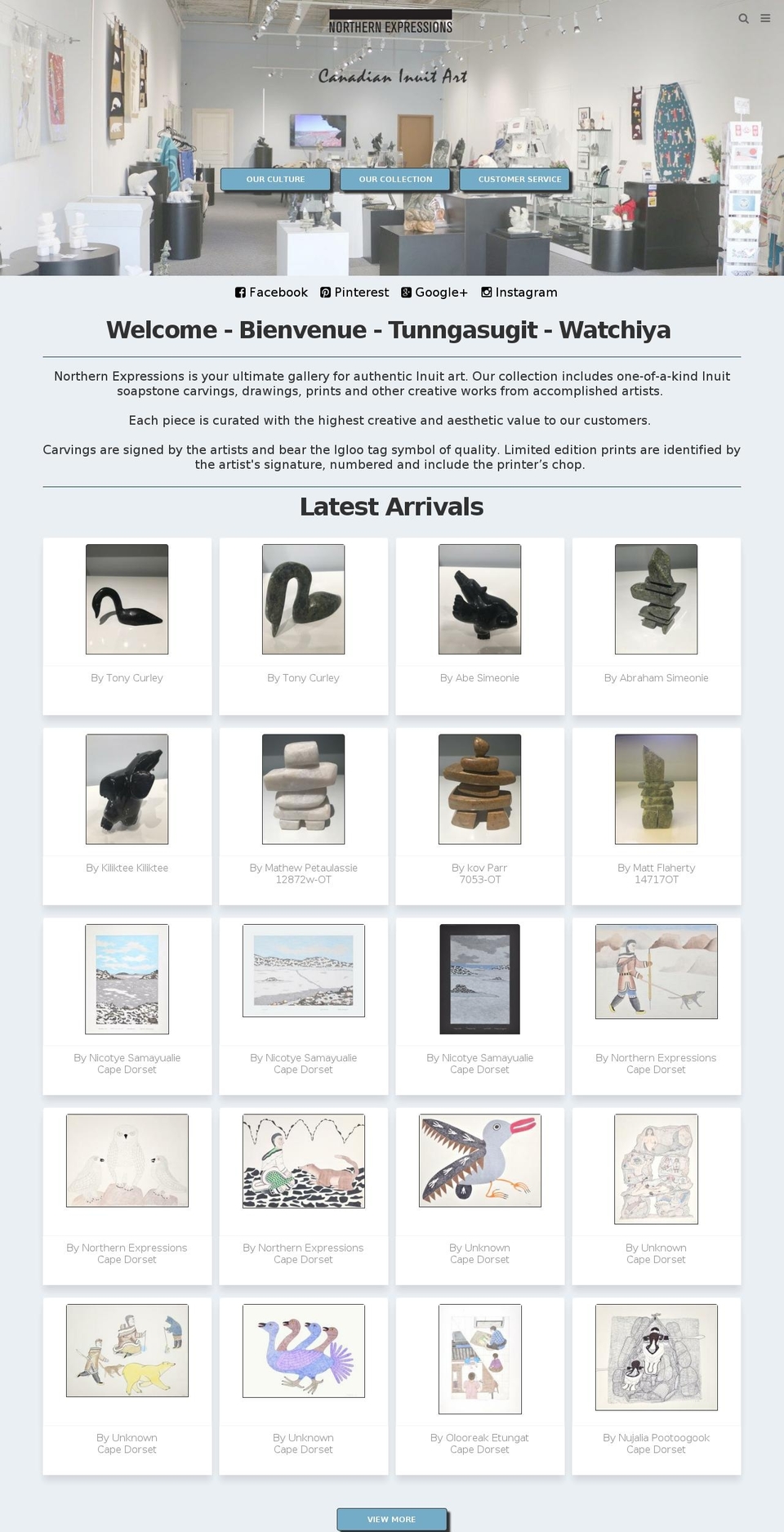 northernexpressionsart.com — Shopify storefront screenshot