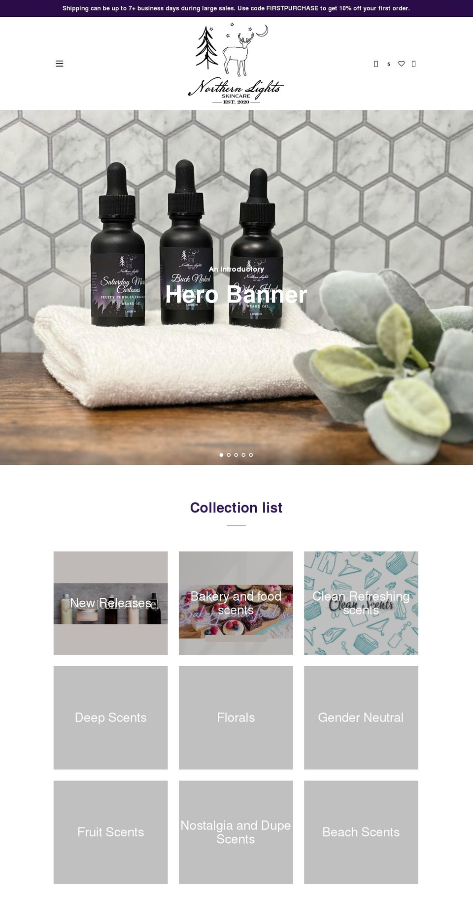 northernlightsskincare.com shopify website screenshot