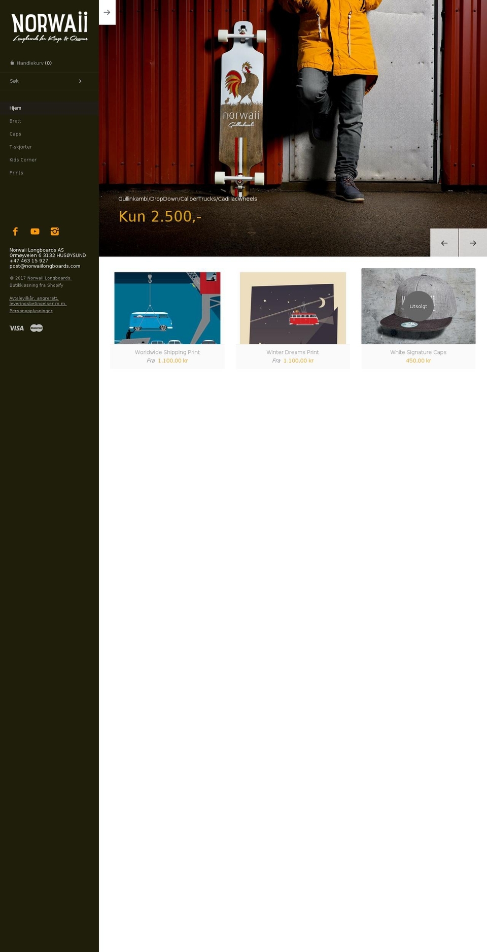 norwaiilongboards.com shopify website screenshot