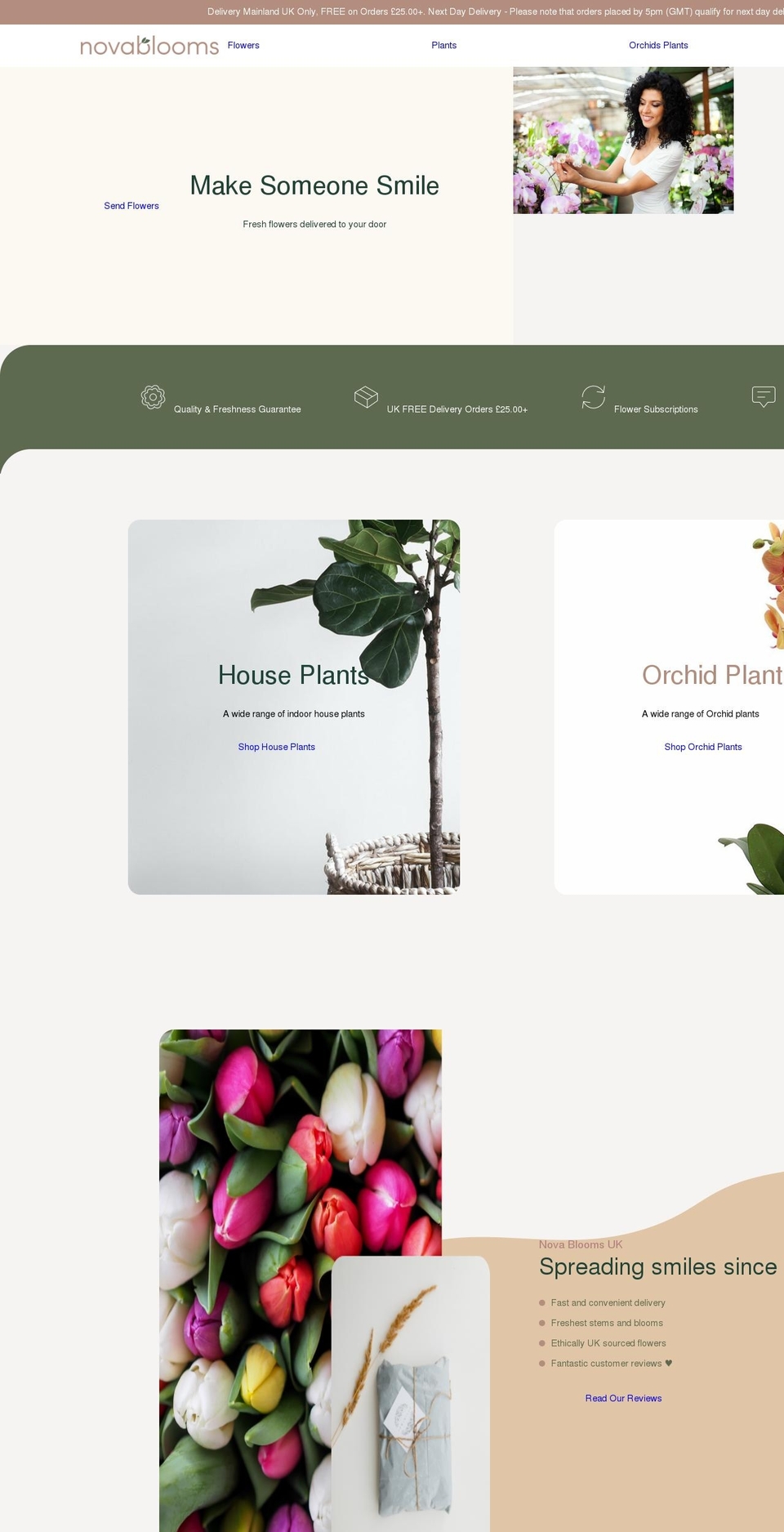 novablooms.com shopify website screenshot