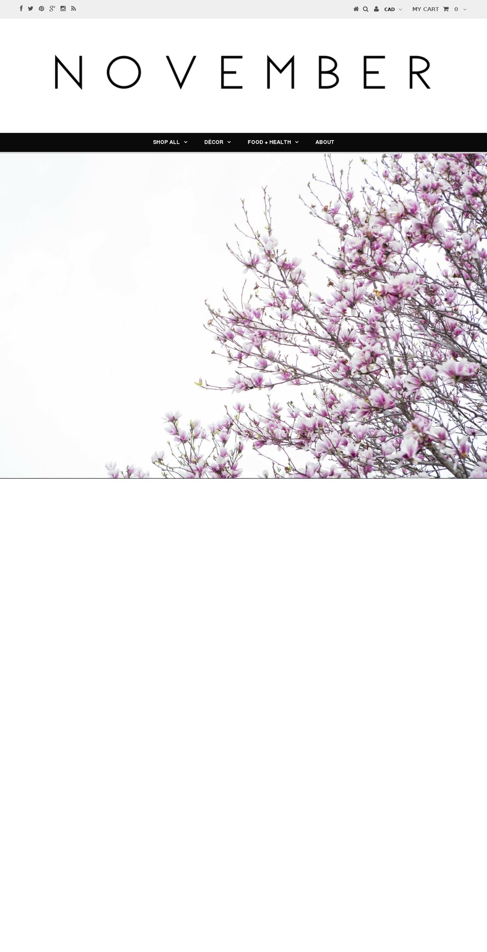 novemberworld.com shopify website screenshot