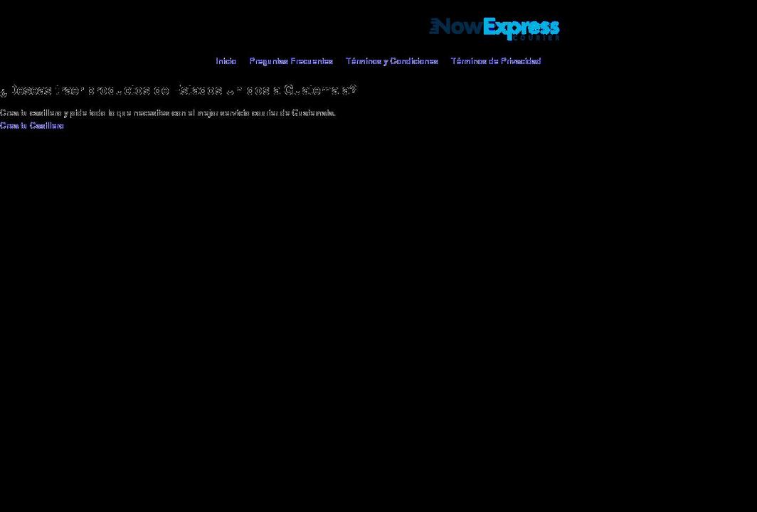 nowexpresscourier.com shopify website screenshot