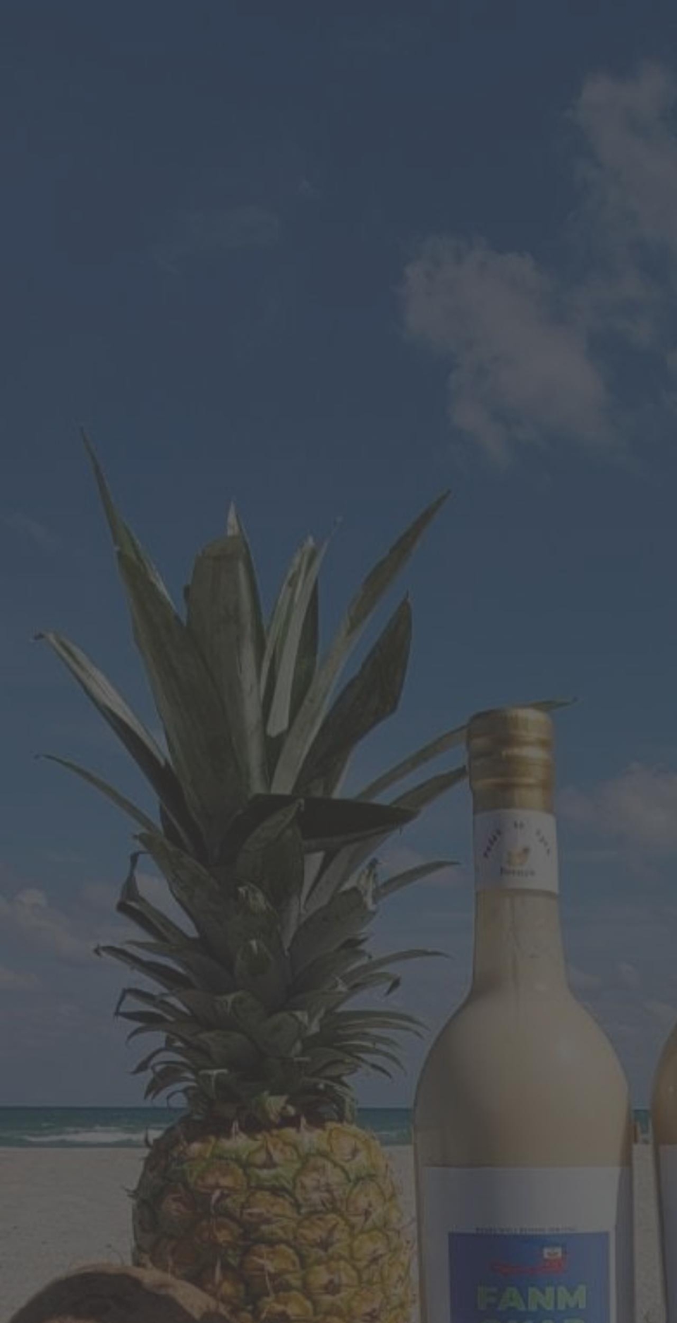 nqualitydesign.com shopify website screenshot