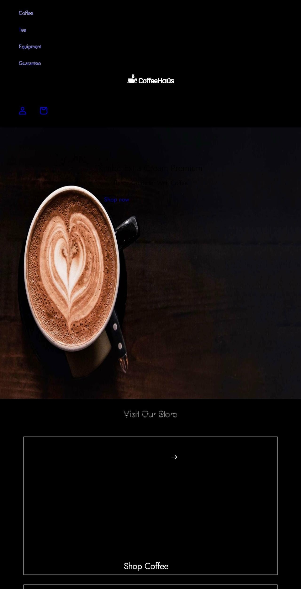 nsgdemo.com shopify website screenshot