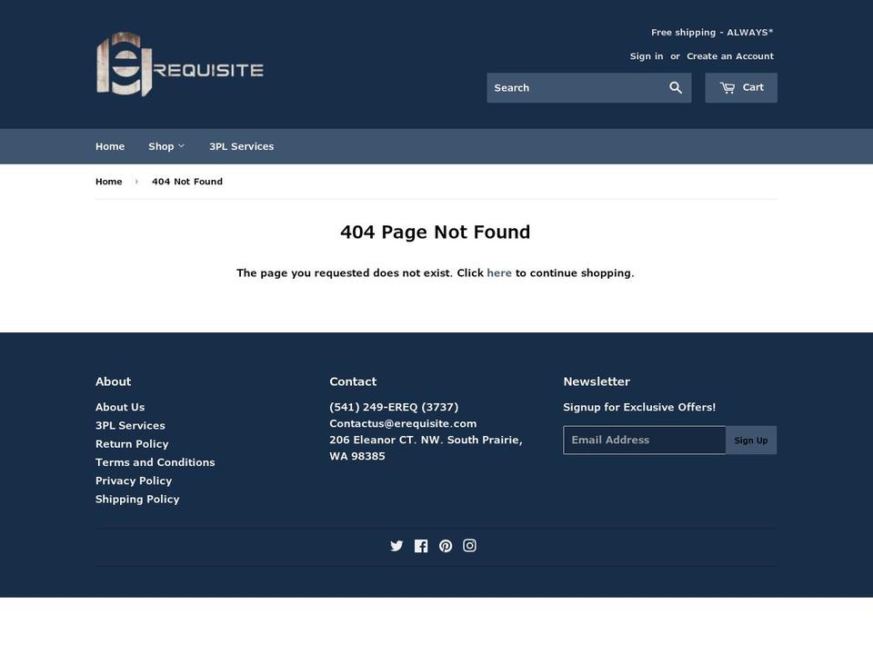 nsinetworking.com — Shopify storefront screenshot