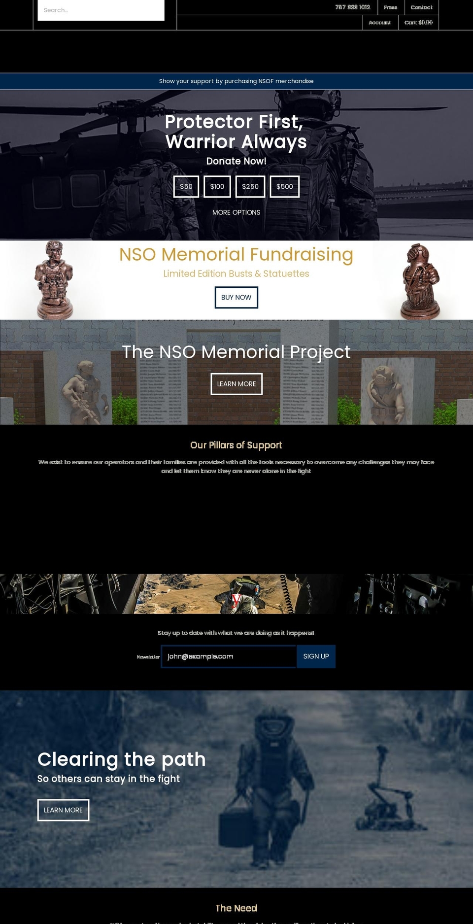 nsofoundation.org shopify website screenshot