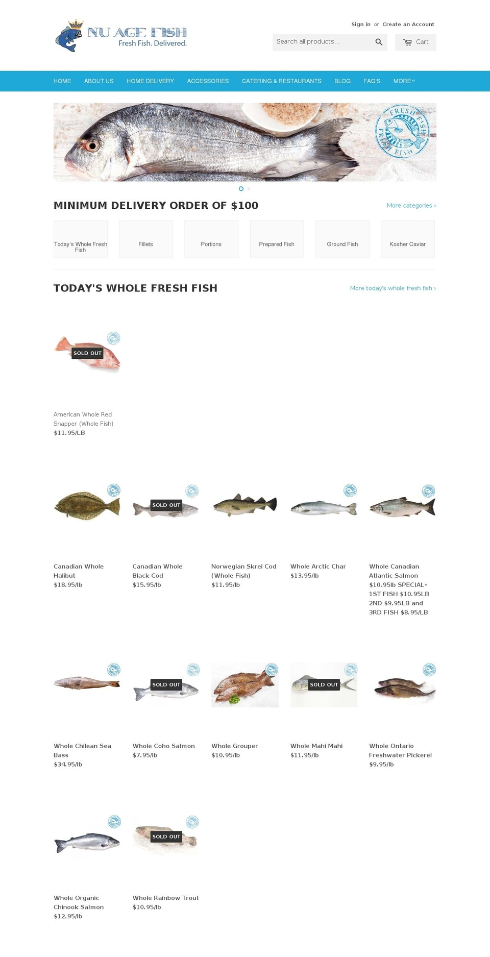 Local Shopify theme site example nuagefish.com