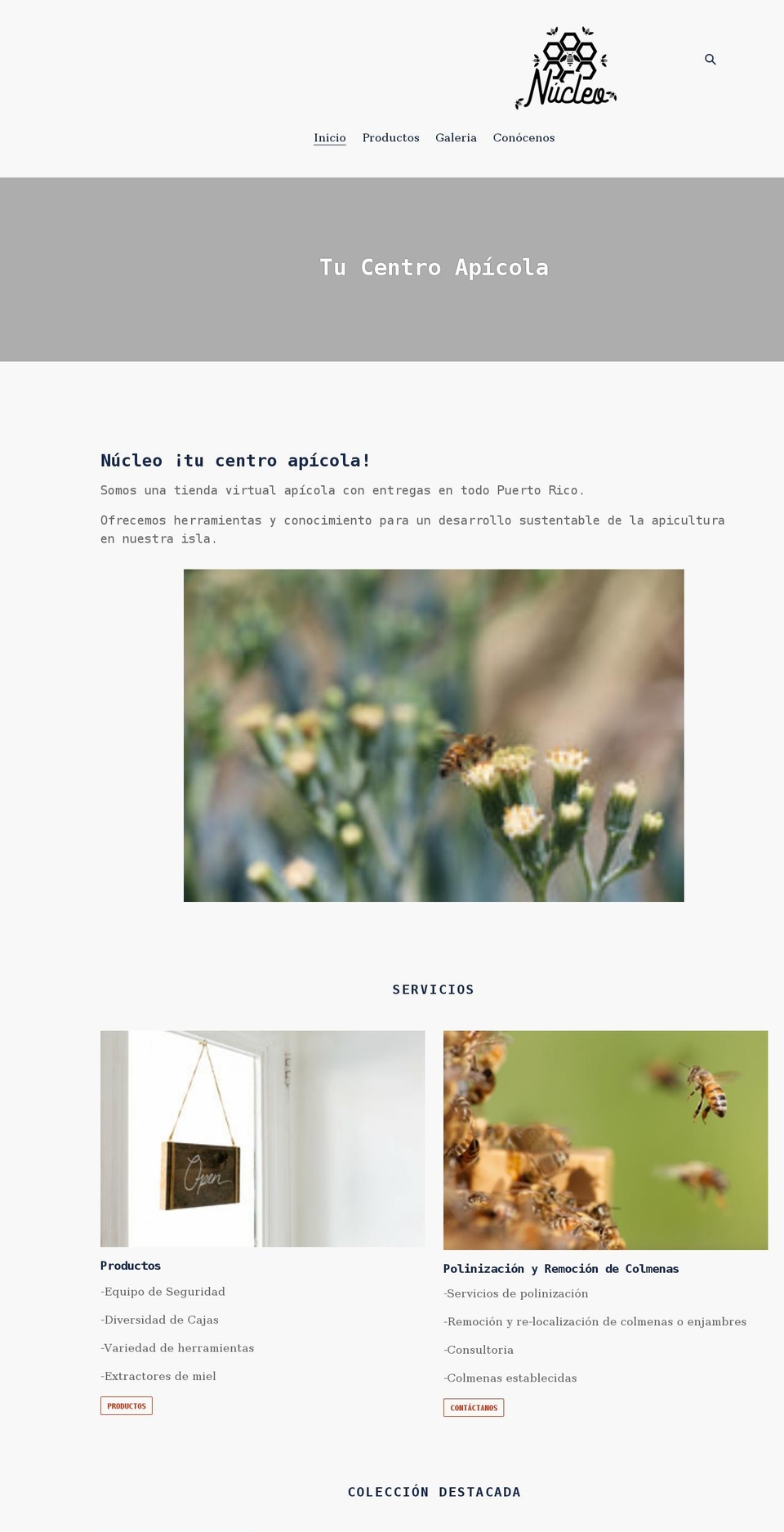 nucleopuertorico.com shopify website screenshot