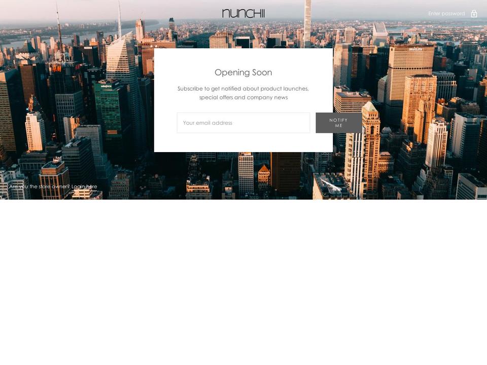 nunchii.com — Shopify storefront screenshot