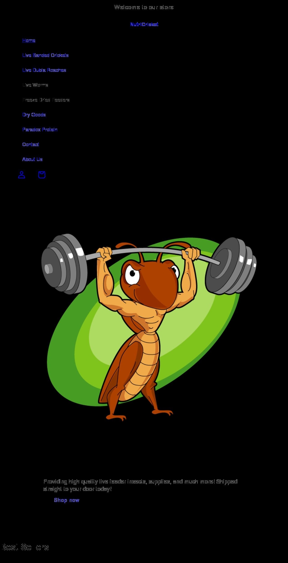 nutricricket.com shopify website screenshot