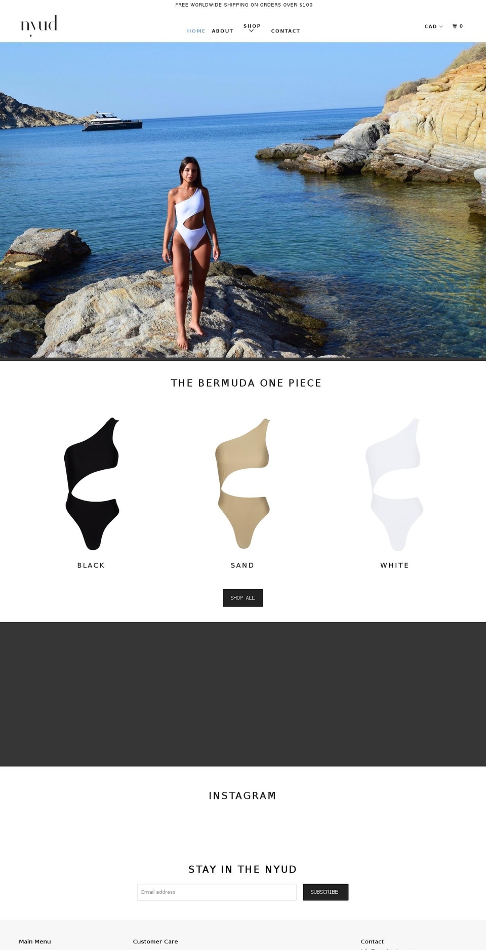 nyudswim.com shopify website screenshot