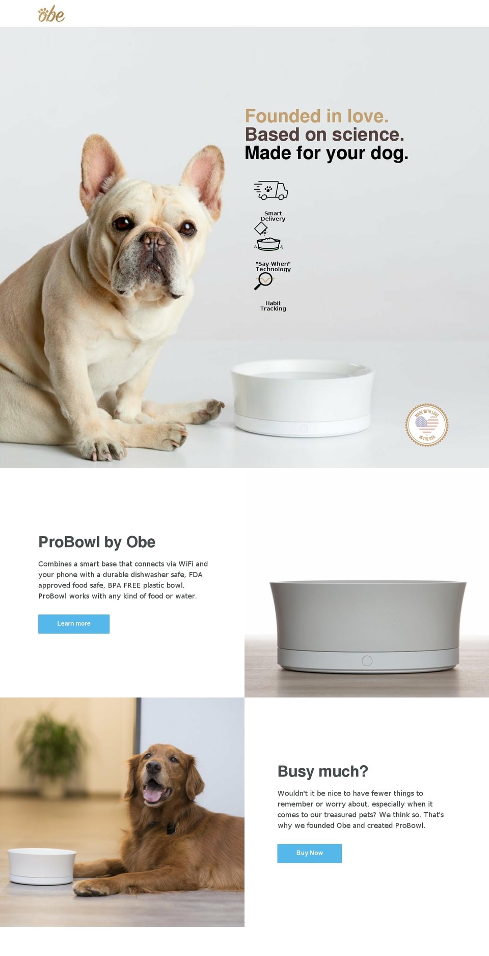 Copy of LIVE VERSION 40618 Shopify theme site example obidogkenobi.com