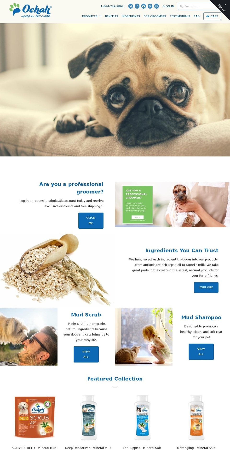 ochahpets.com shopify website screenshot