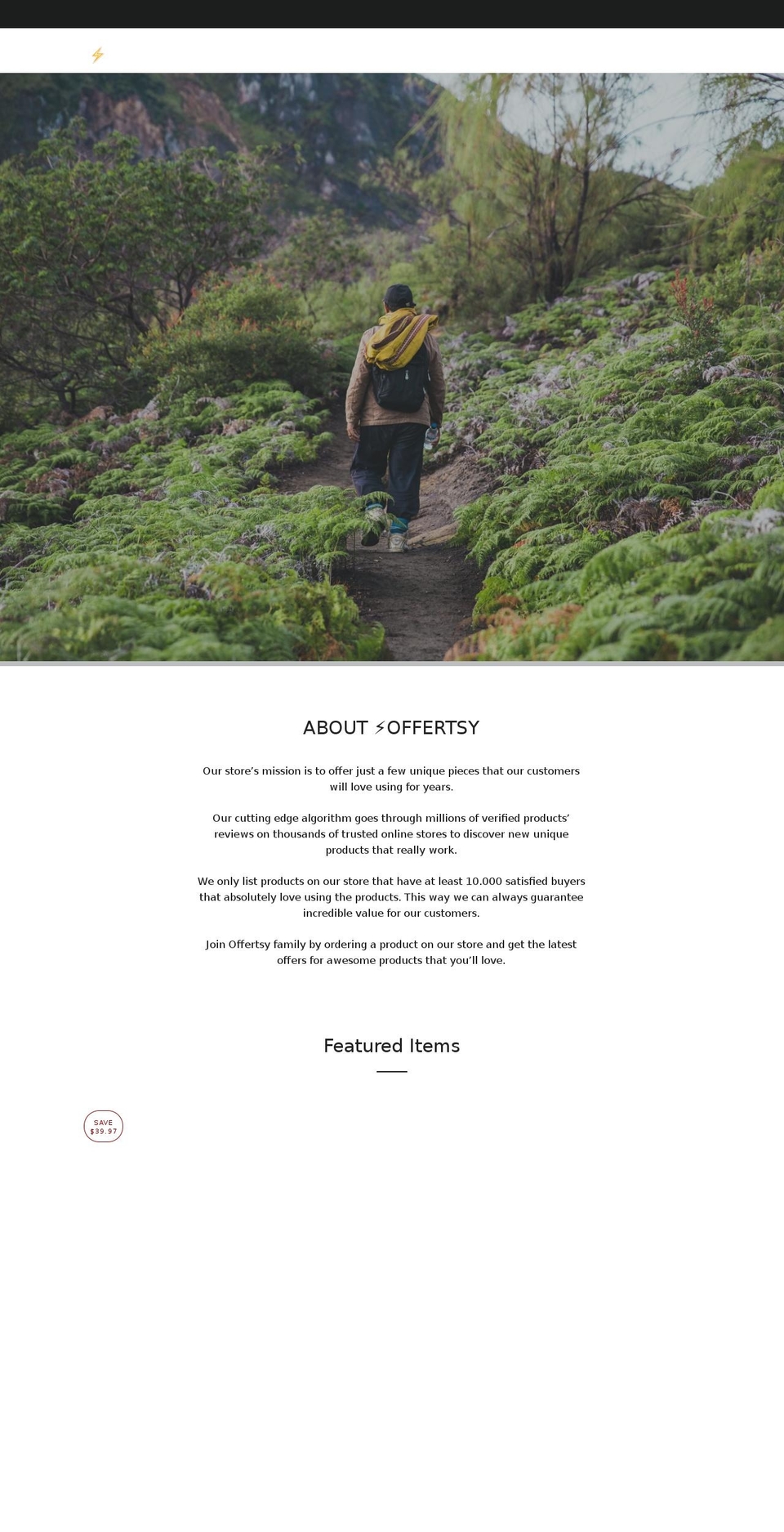 offertsy.com — Shopify storefront screenshot
