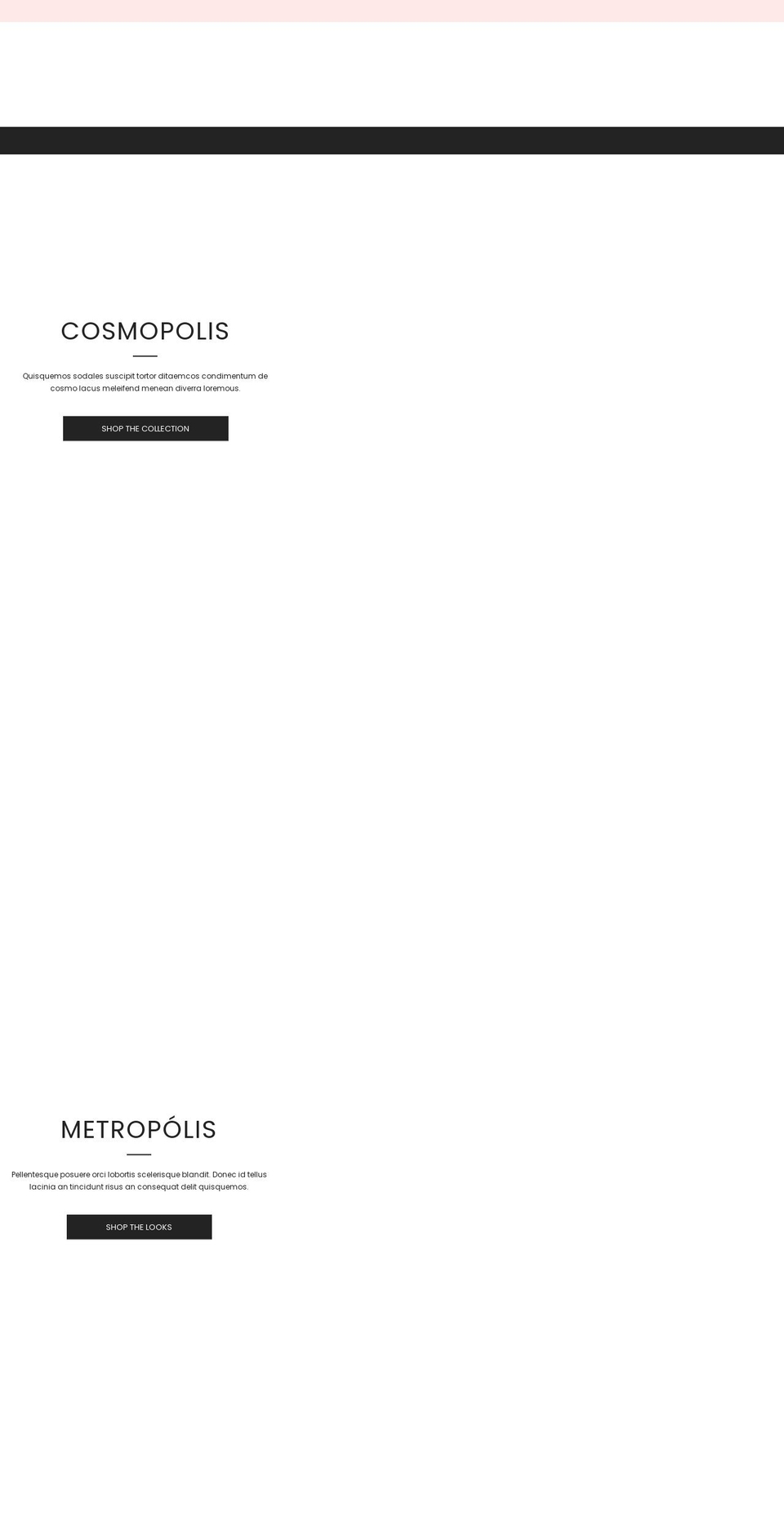 officialtruenorth.com — Shopify storefront screenshot