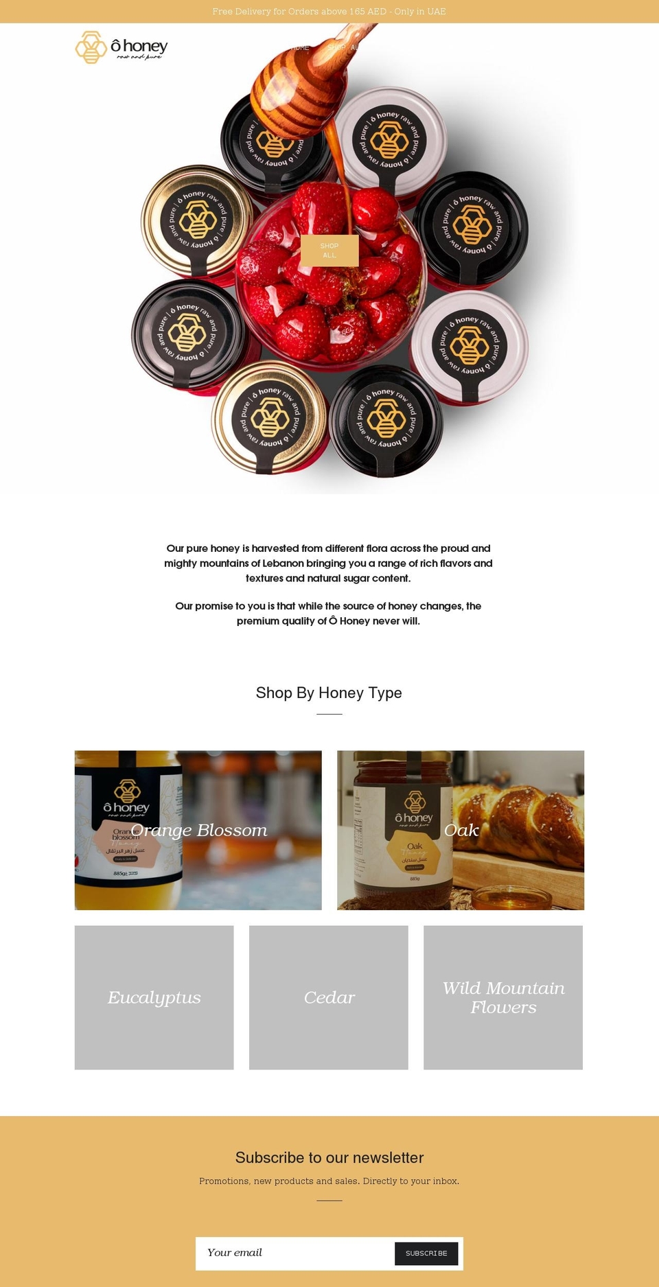 ohoney.shop shopify website screenshot