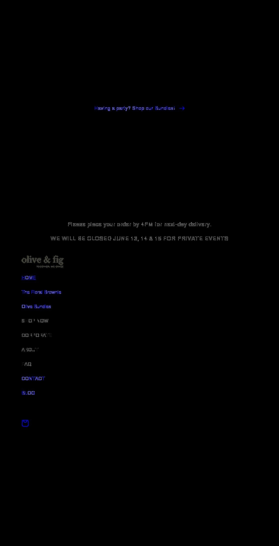 olive-fig.com shopify website screenshot