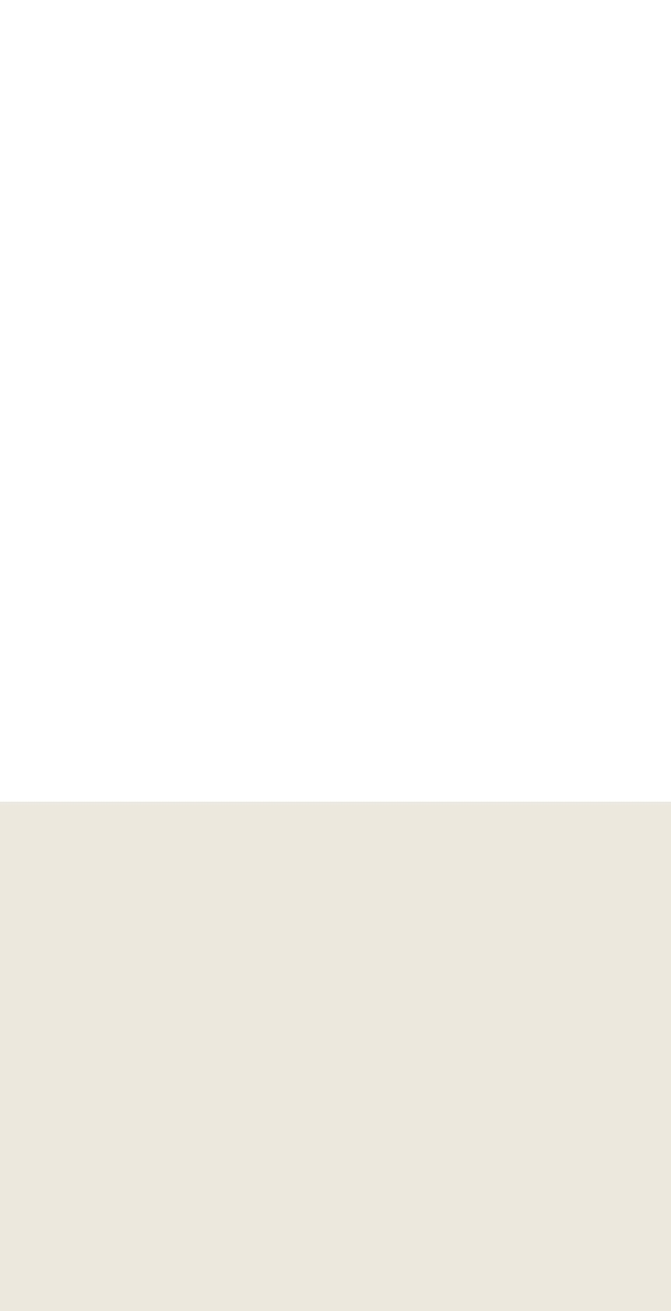 olivebasketonline.com shopify website screenshot
