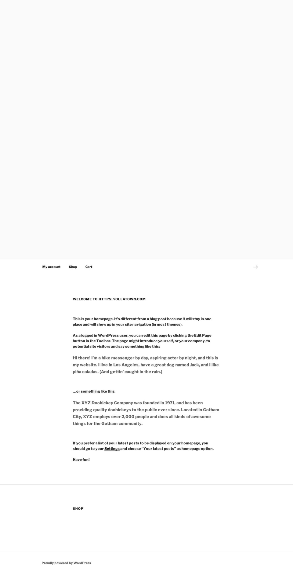 ollatown.com — Shopify storefront screenshot
