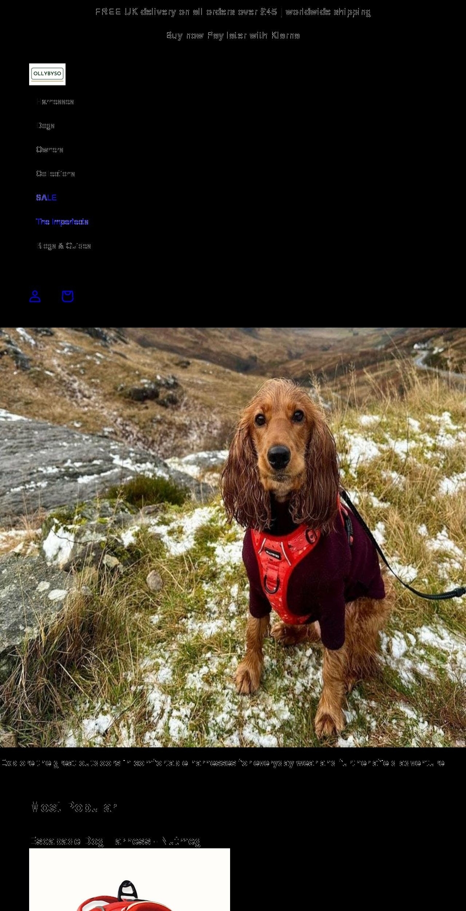 ollybyso.com shopify website screenshot