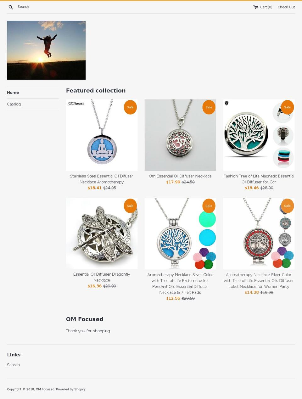 omfocused.net shopify website screenshot