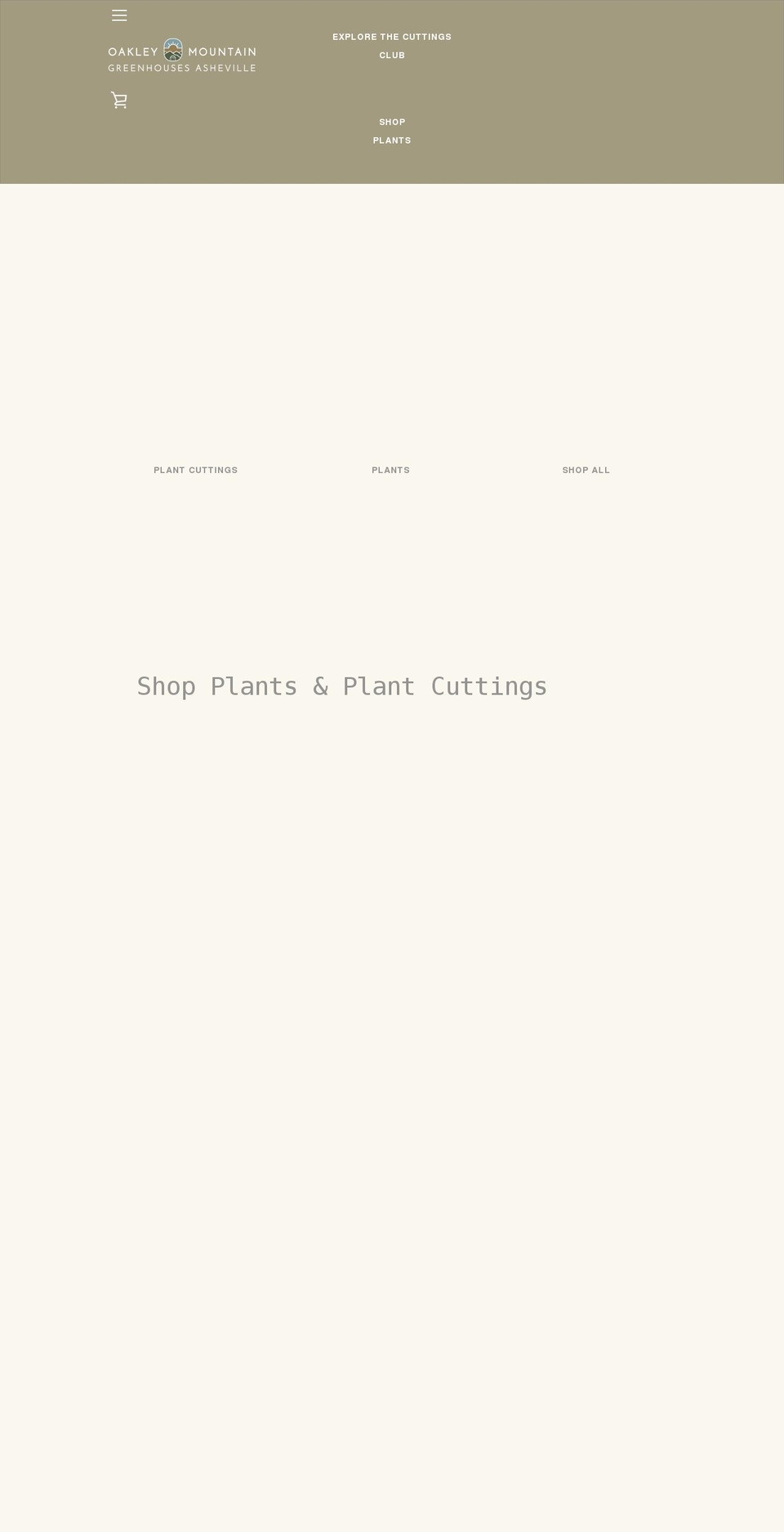 omgasheville.com shopify website screenshot