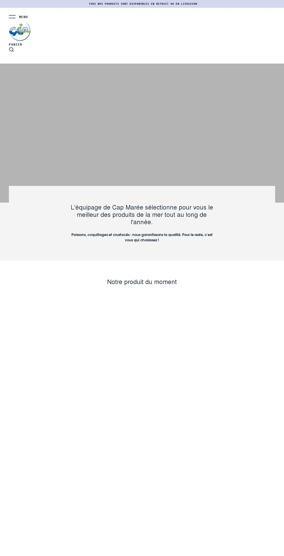 onlineappinstaller.com shopify website screenshot