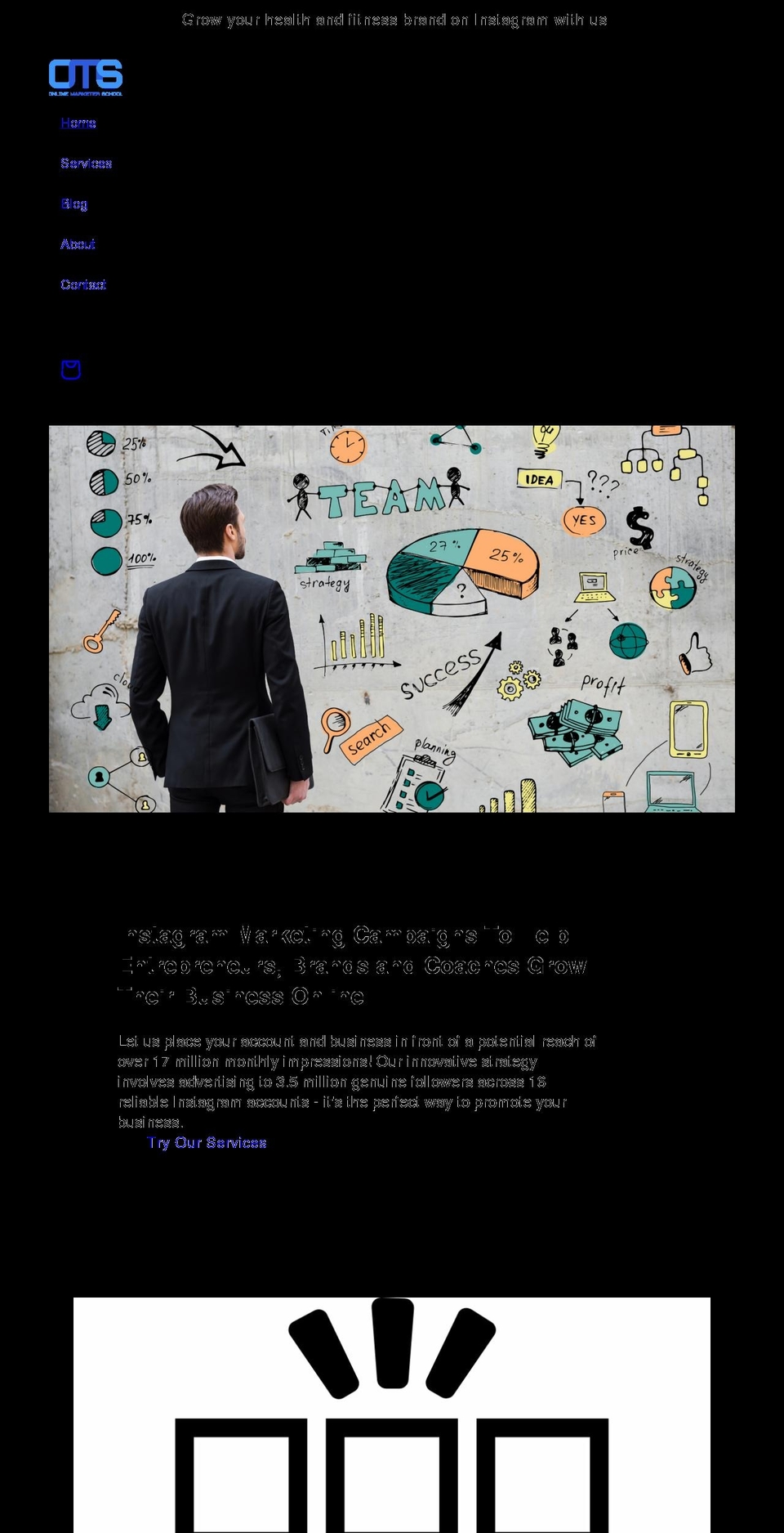 onlinemarketerschool.com shopify website screenshot
