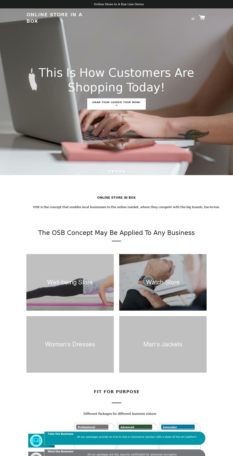 onlinestoreinabox.com — Shopify storefront screenshot