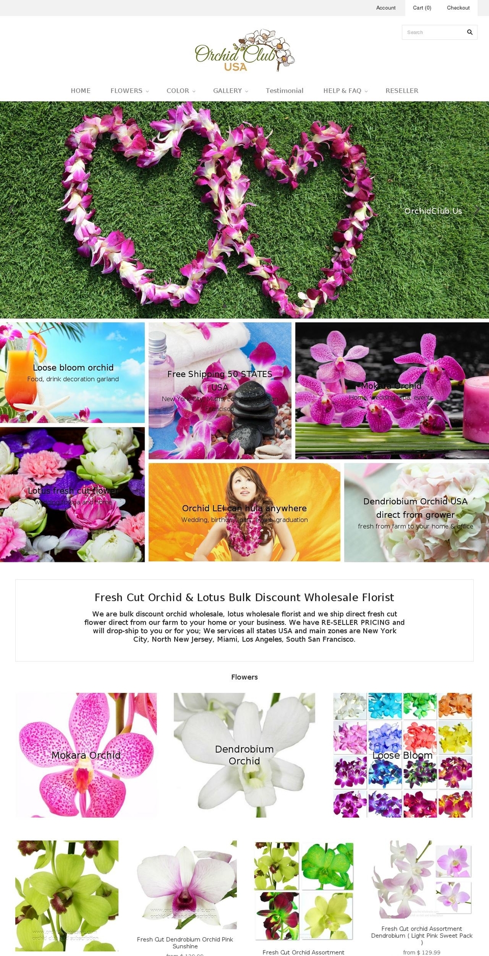 orchid-wholesale.com — Shopify storefront screenshot