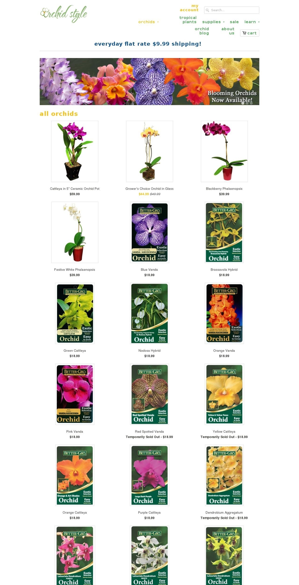 orchidfanatic.com shopify website screenshot