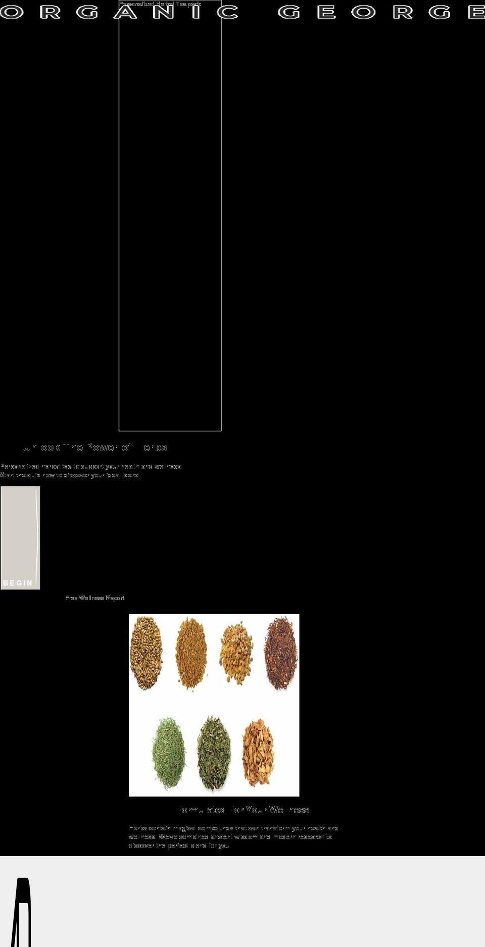 organicgeorge.com — Shopify storefront screenshot