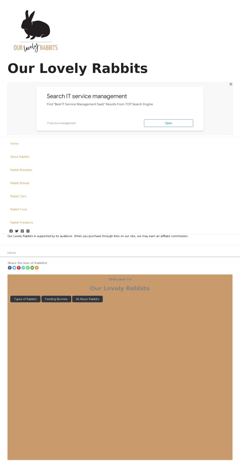 ourlovelyrabbits.com — Shopify storefront screenshot