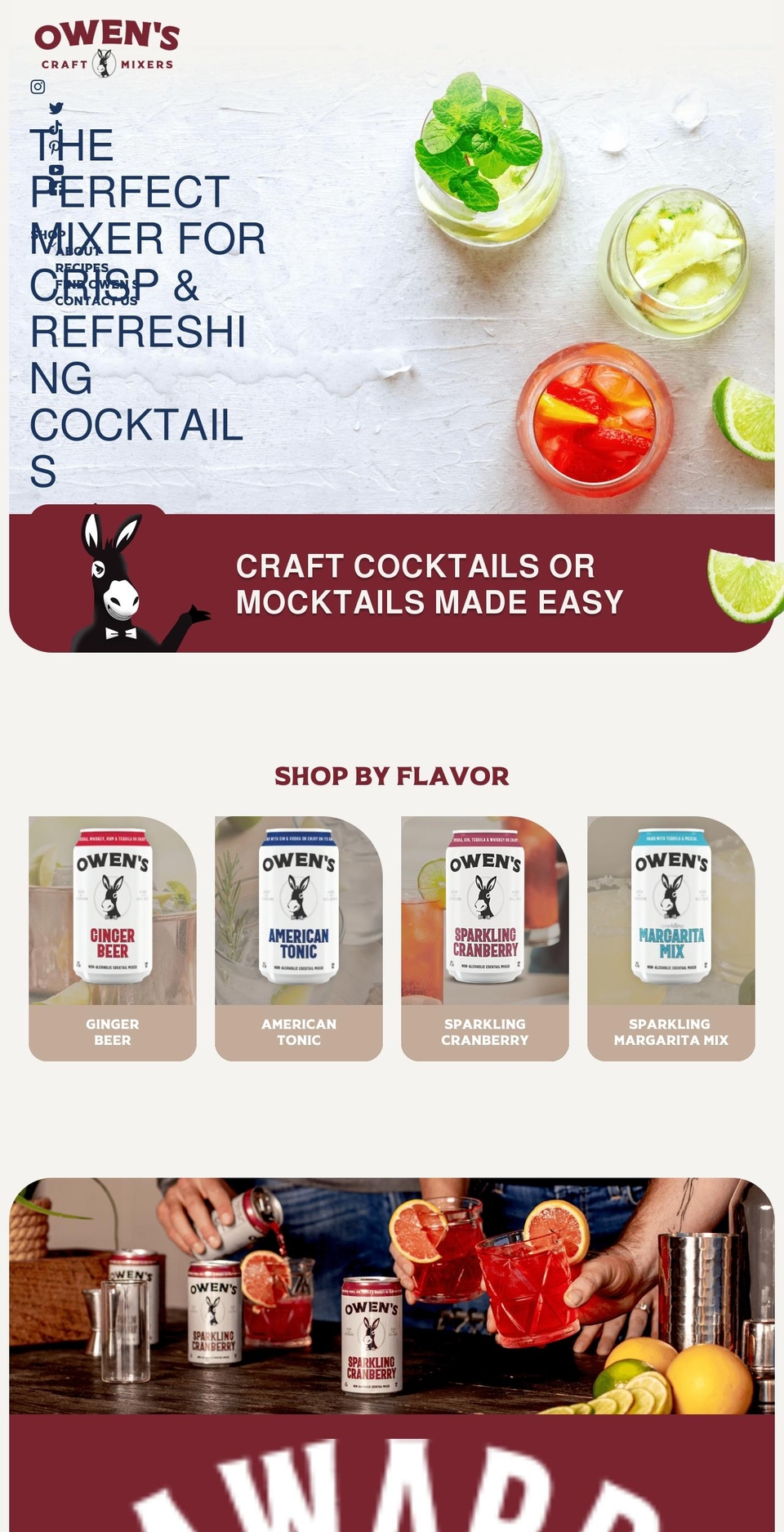 owensmixers.com shopify website screenshot