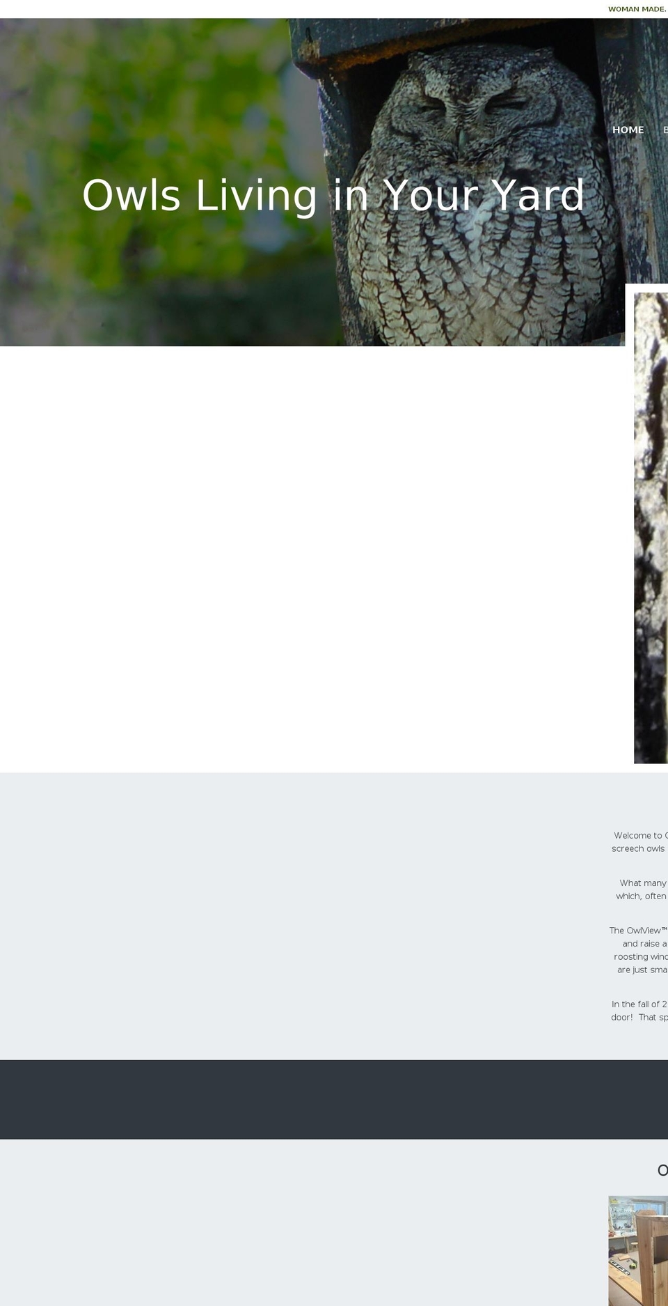 owlnestbox.com shopify website screenshot