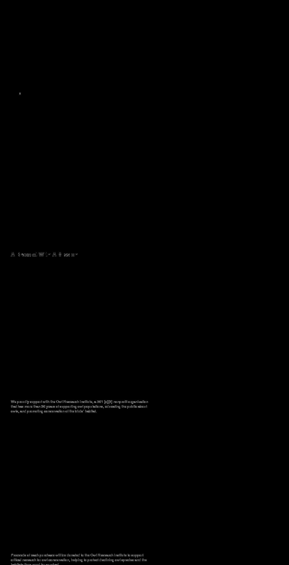 owlsomebracelets.com shopify website screenshot