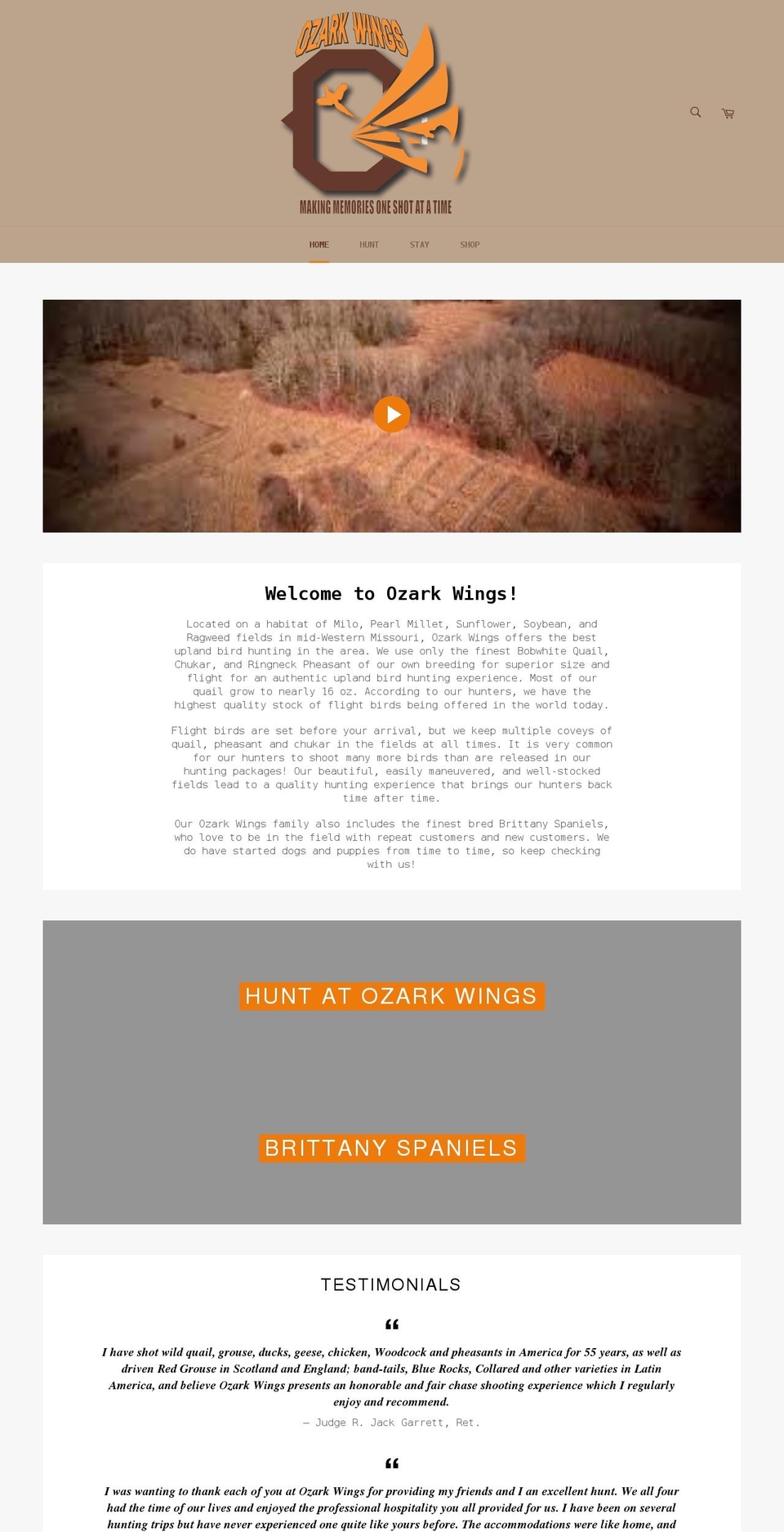 ozarkwings.com shopify website screenshot