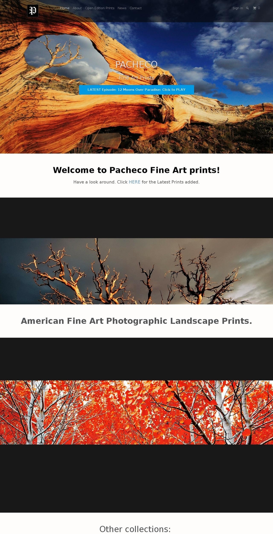 pachecofineartprints.com shopify website screenshot