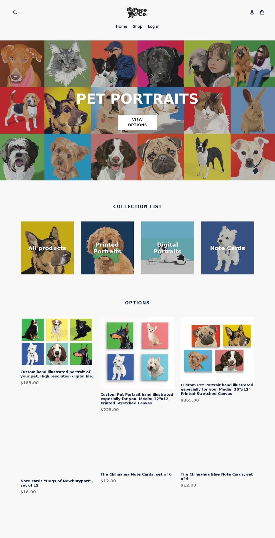 pacoandcompany.com — Shopify storefront screenshot