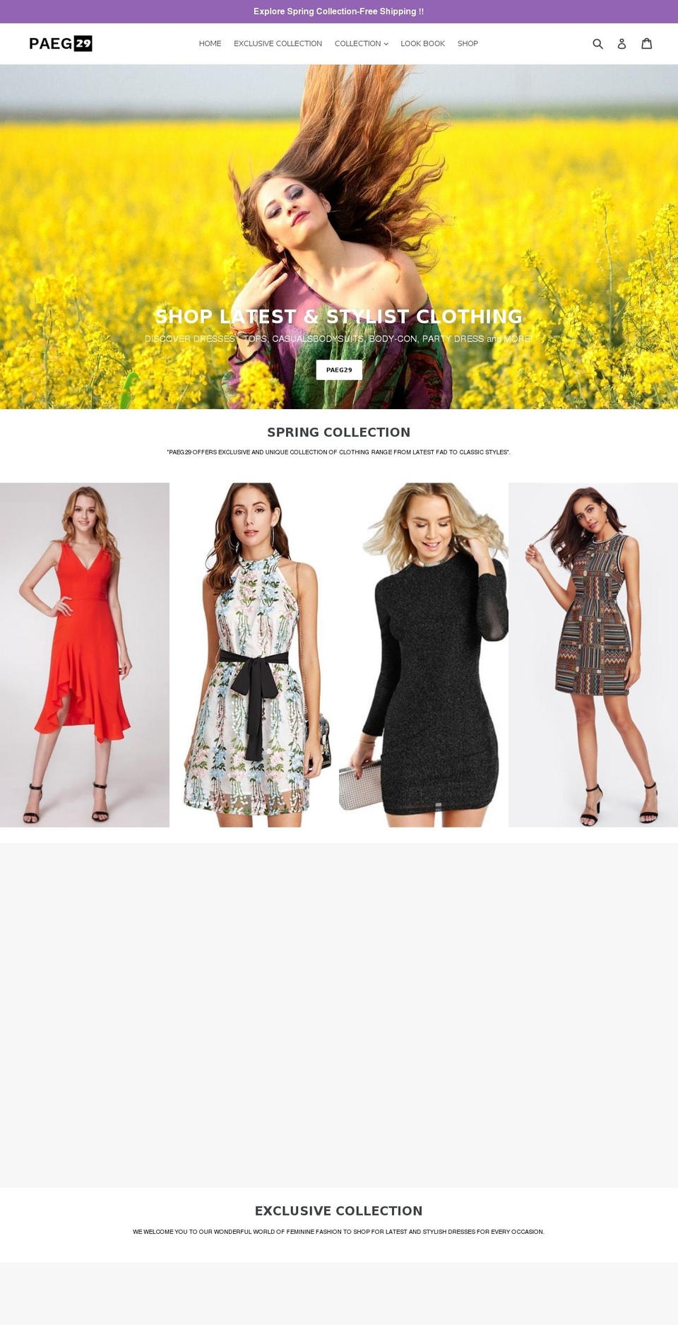 paeg29.com — Shopify storefront screenshot