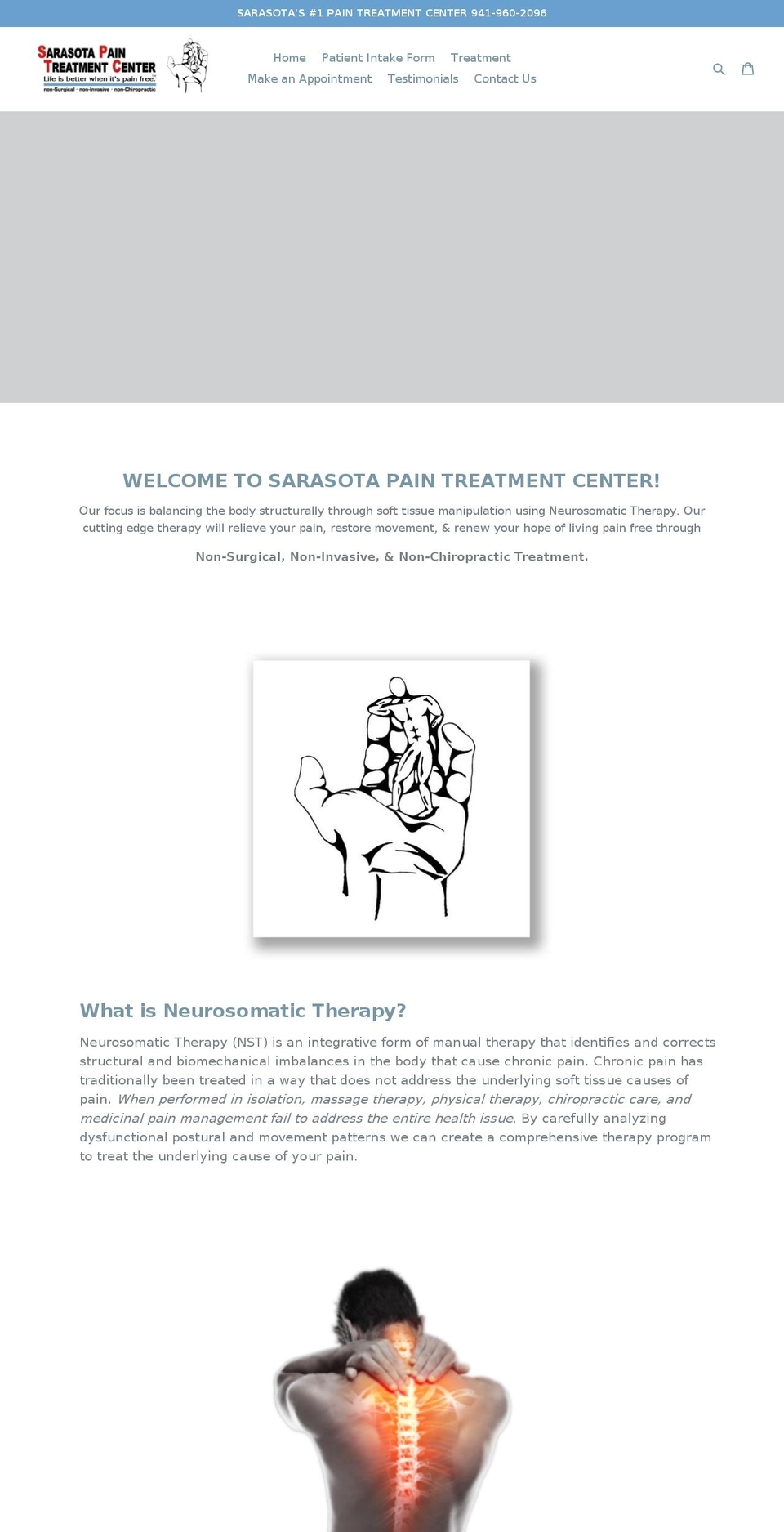 painfreesrq.com — Shopify storefront screenshot