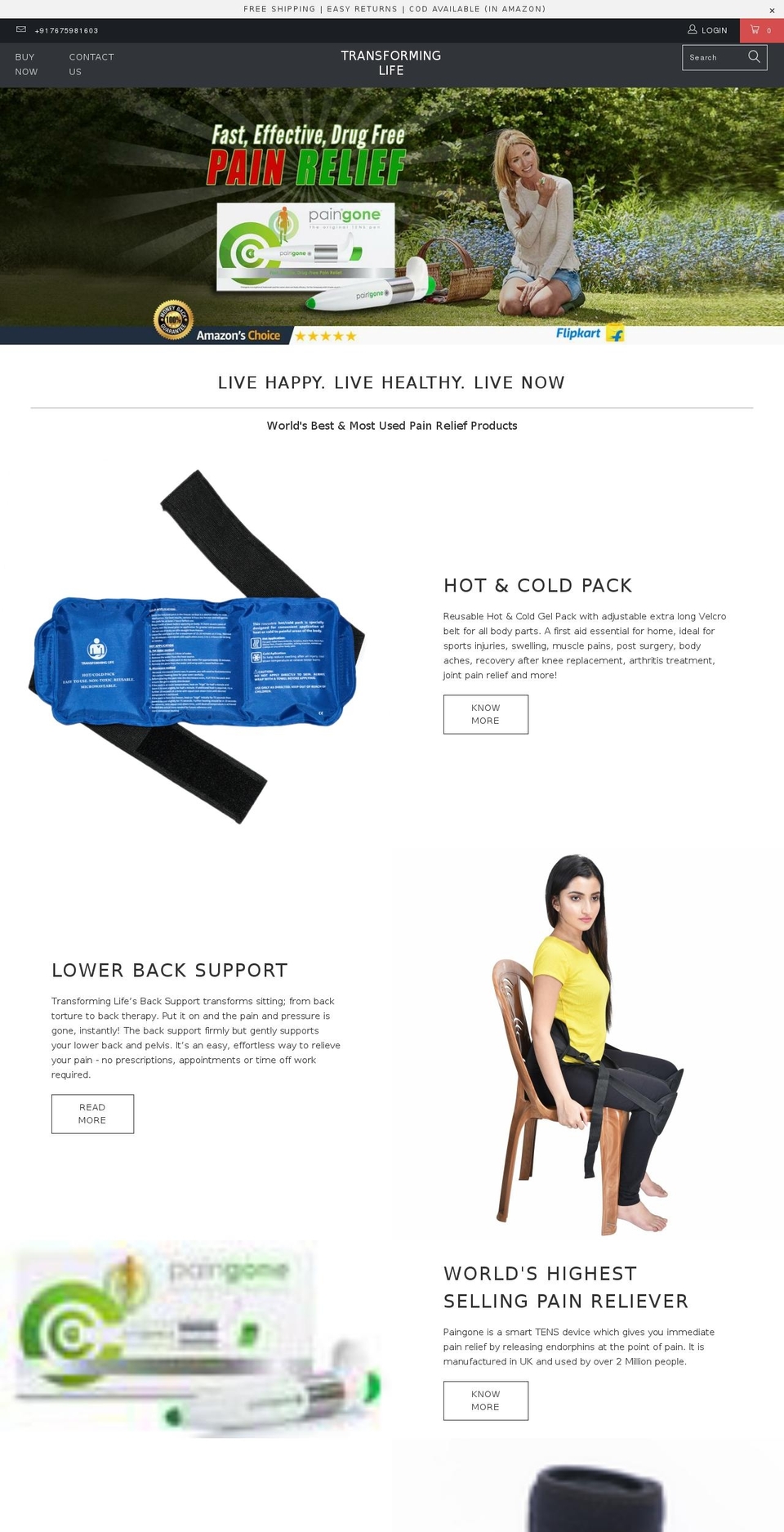 paingone.in shopify website screenshot