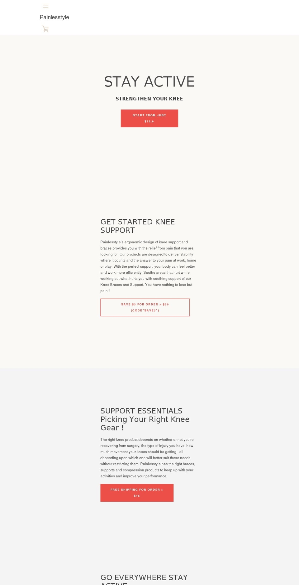 painlesstyle.com shopify website screenshot