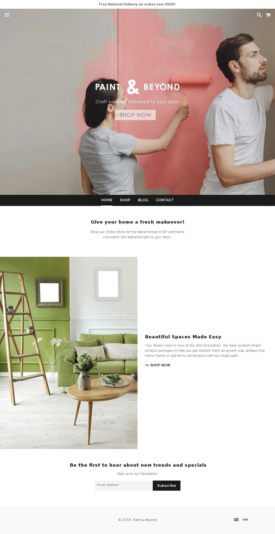 paintbeyond.co.za shopify website screenshot