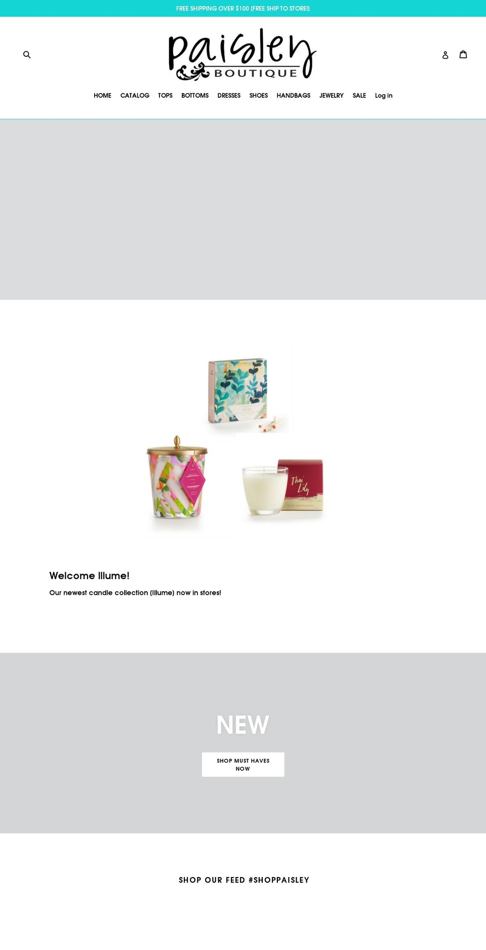 paisleync.com shopify website screenshot