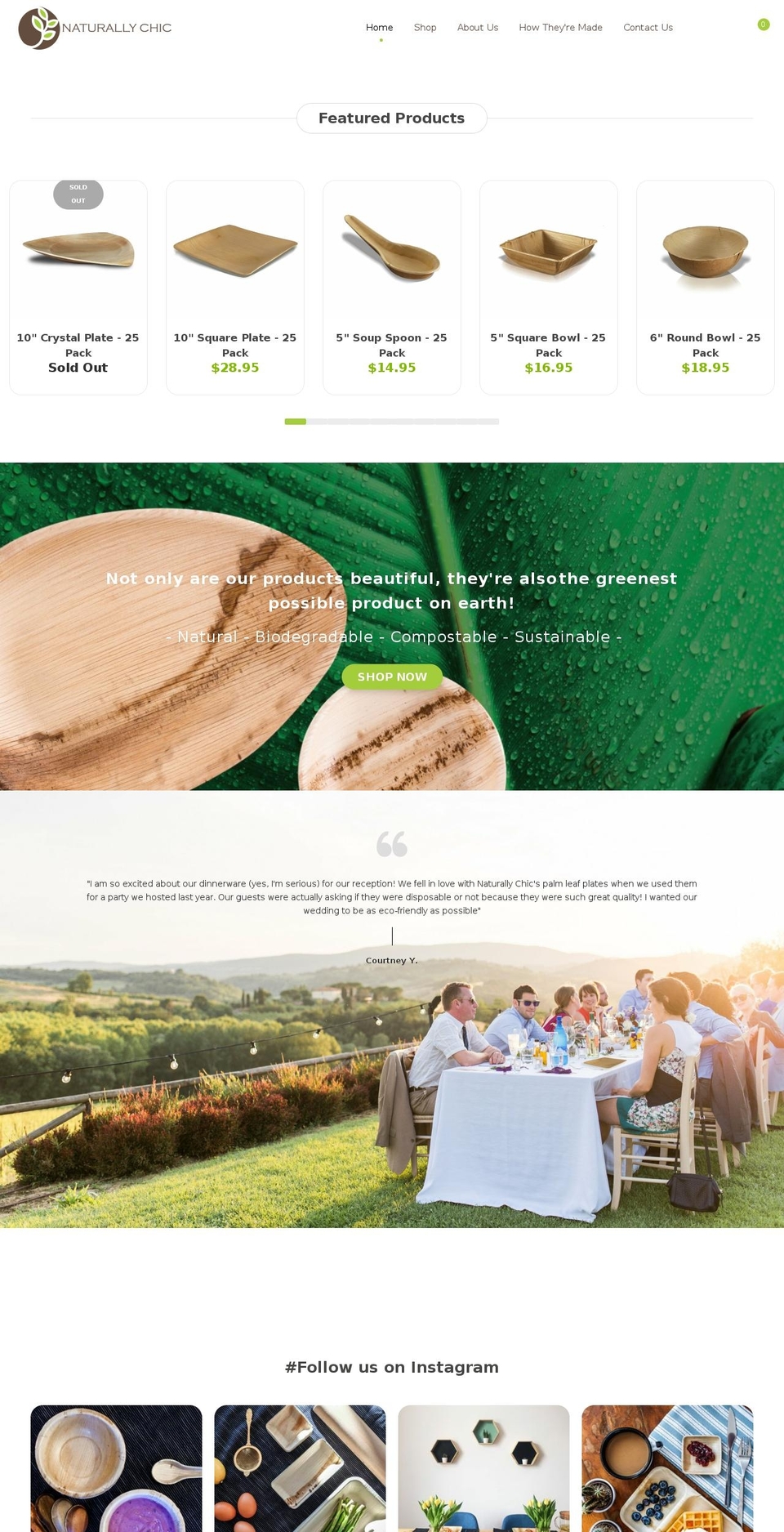 New Chic Theme - DEV Shopify theme site example palmleafplates.net