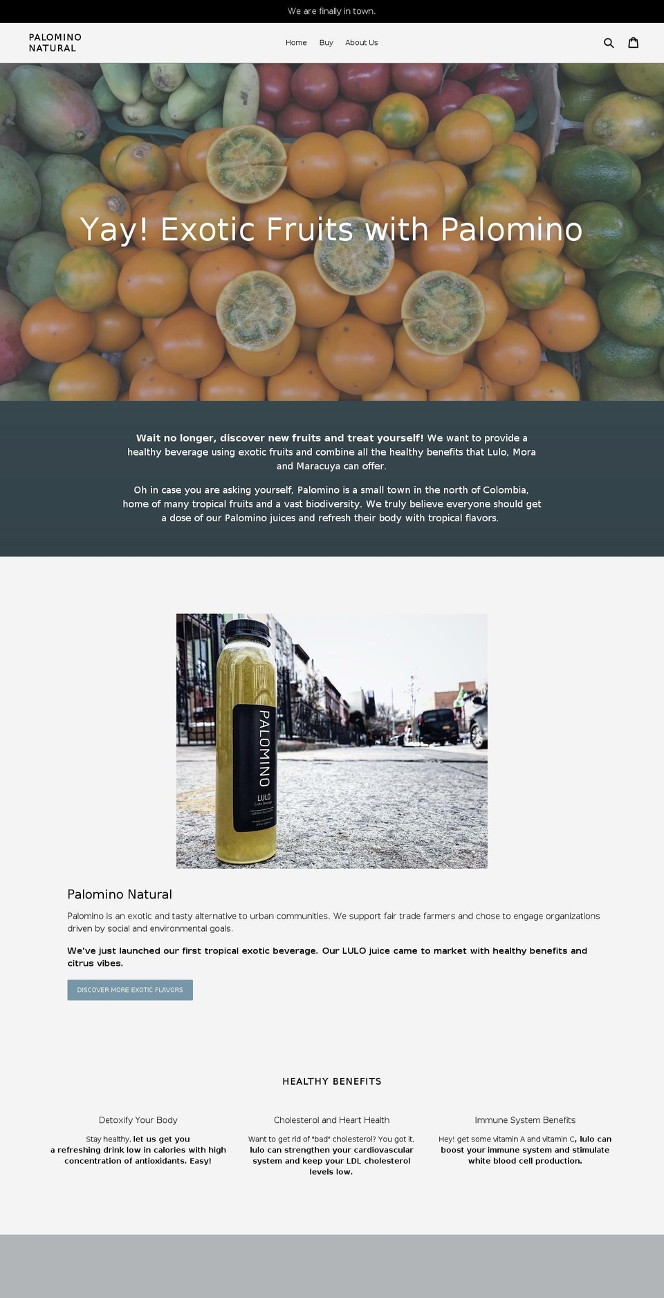 palominonatural.com — Shopify storefront screenshot
